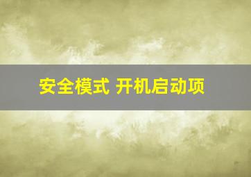 安全模式 开机启动项